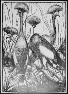 Crested Cranes - NARA - 558870