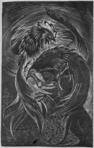 Fighting Cocks, 1962 - NARA - 558913
