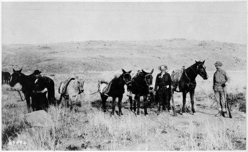 Government pack mules and packers. (Photograph taken near Mexican border 1883. - NARA - 530929