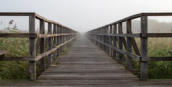 Moorland target perspective photo