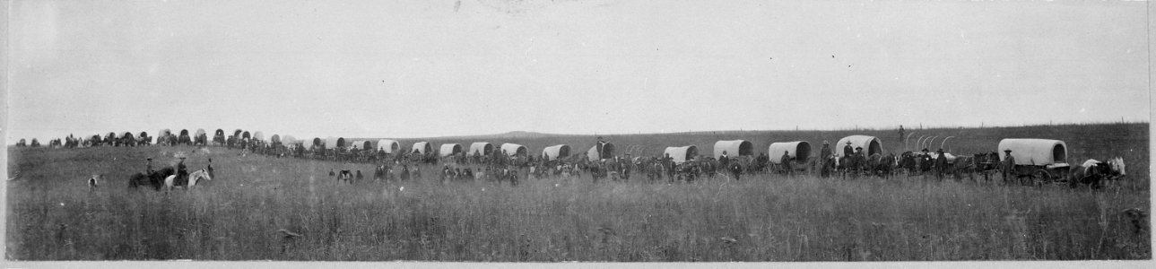 Indian teams hauling 60 miles to market the 1100 bushels of wheat raised by the school. It brought four cents more than - NARA - 519190 photo