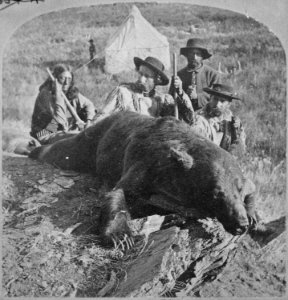 Our First Grizzly, killed by Gen. Custer and Col. Ludlow. By Illingworth, 1874, during Black Hills expedition - NARA - 519426
