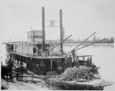 Steamer Expansion, makes weekly trips on the Yellowstone River between Mondak and Glendive, Montana. The riverboat als - NARA - 531915