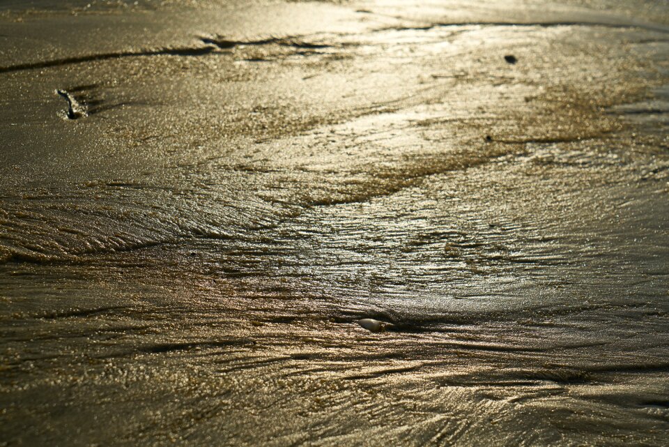 Reflection brown beach brown sand
