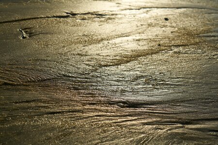 Reflection brown beach brown sand photo