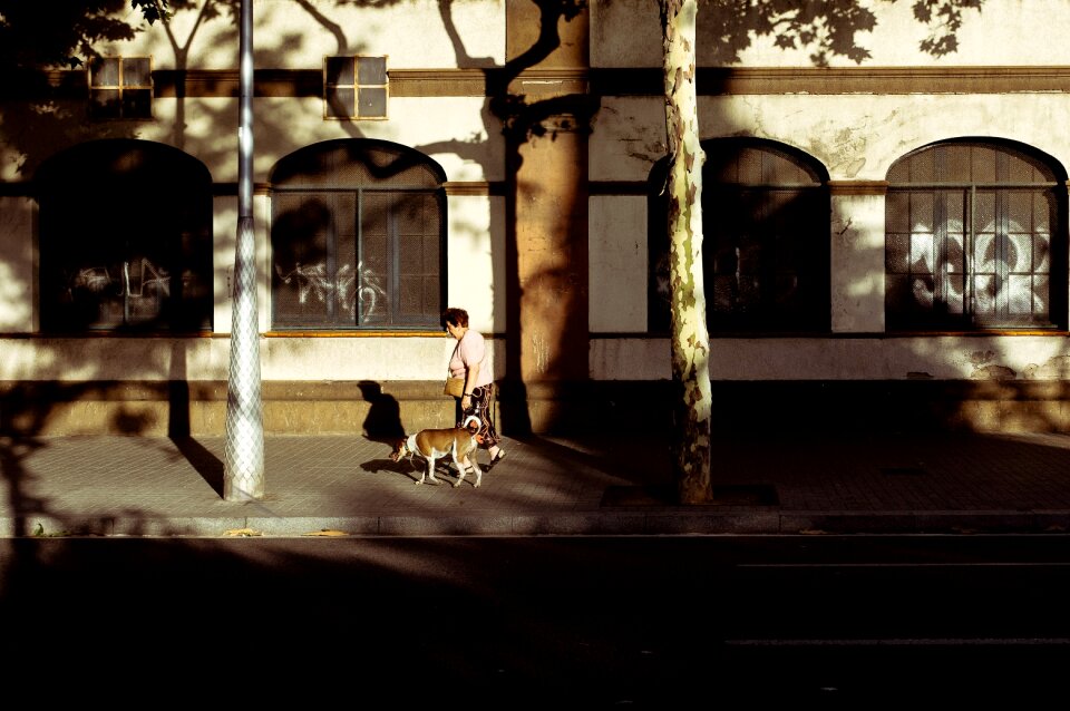 Outside sunny morning