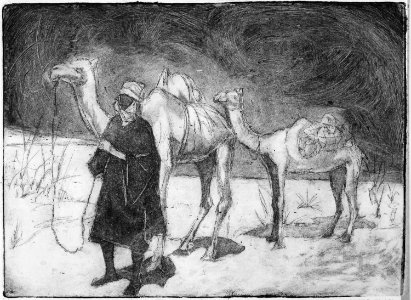 Transport in the Sahara - NARA - 559018