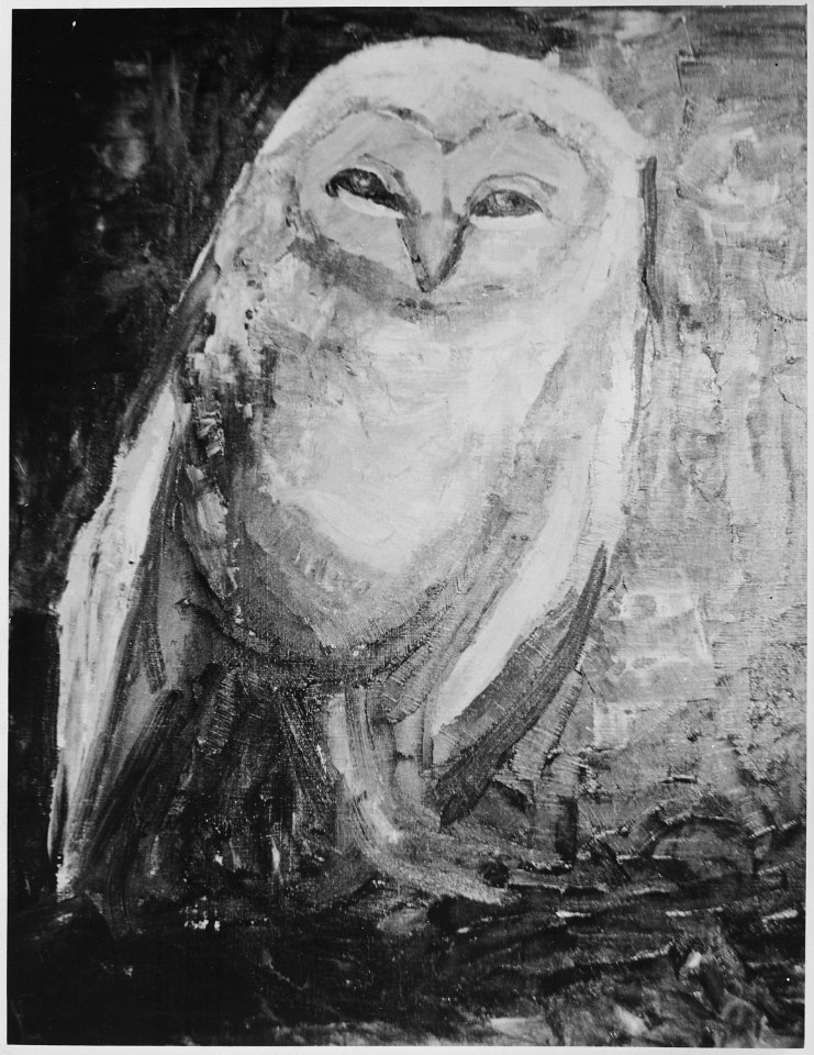 The owl - NARA - 559159
