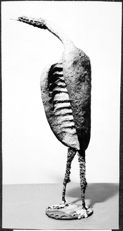 Vulture - NARA - 559028