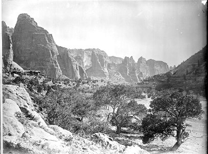 (Old No. 118) De Chelly Valley, Arizona, Apache County. (Beautiful large trees in the valley)., 1871 - 1878 - NARA - 517766