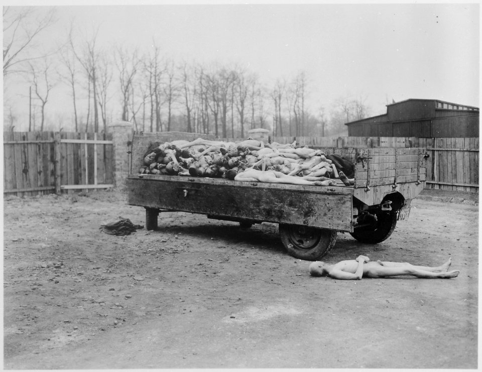 A truck load of bodies of prisoners of the Nazis, in the Buchenwald concentration camp at Weimar, Germany. The bodies... - NARA - 531261