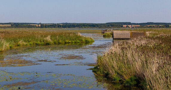 Moor nature reserve water