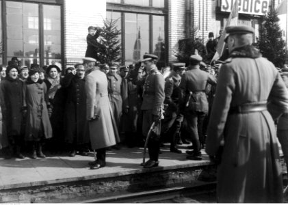 Adolf Gancwol-Ganiewski - Wizyta Marszałka Józefa Piłsudskiego w Siedlcach, odbyta podczas podróży Piłsudskiego na wschód- do Brześcia (22-236-4)