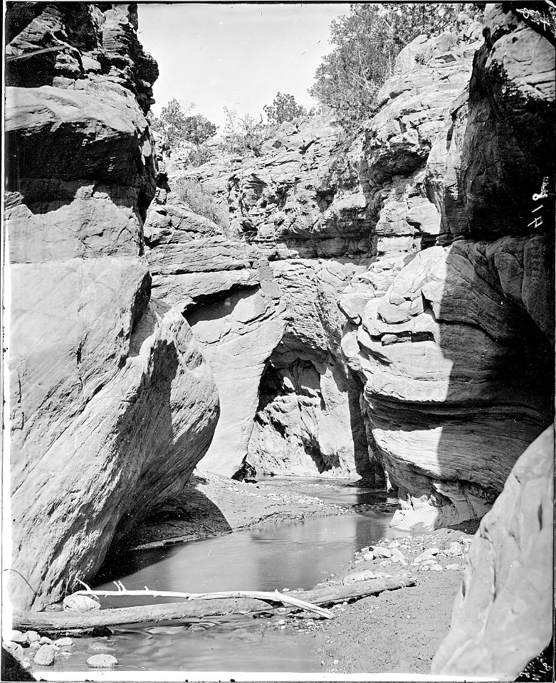 Aquarius Plateau. Tantalus Creek. Mouth of Tantalus Canyon, Garfield County, Utah. Note the - NARA - 517787