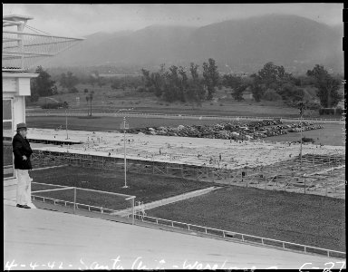 Arcadia, California. An immense warehouse under construction at the Santa Anita Assembly center for . . . - NARA - 537406