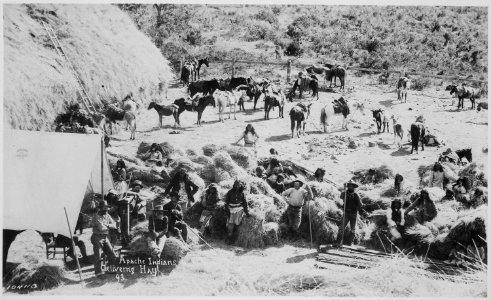 Apaches delivering hay at Fort Apache, Arizona, 1893 - NARA - 531124