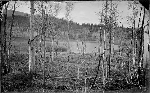 Aquarius Plateau. Bee Lake(^). Old Nos. 390, 324. This is not the same as 57-PS-423, Lake in Aquarius Plateau.... - NARA - 517809
