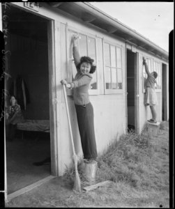 Arcadia, California. Frieda Lakahama of Long Beach, California, joins in window washing at Santa An . . . - NARA - 537050