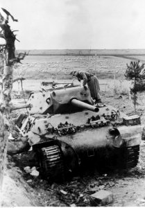 Amerykański niszczyciel czołgów M 10 na froncie pod Nettuno - Anzio (2-2229)