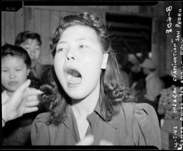 Arcadia, California. Throat examinations are given every new arrival at Santa Anita assembly center . . . - NARA - 537035