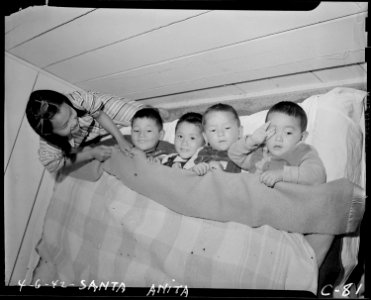 Arcadia, California. Four young evacuees of Japanese ancestry are tucked in bed for an afternoon na . . . - NARA - 537453