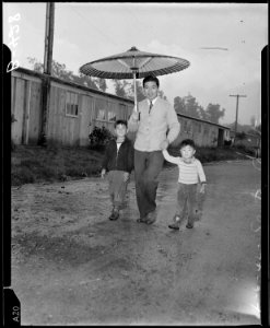 Arcadia, California. Japanese parasol for spring showers at Santa Anita Park assembly center. Evac . . . - NARA - 537047