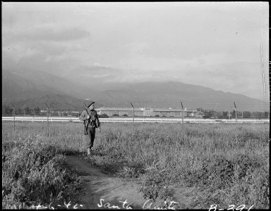 Arcadia, California. Military police patrol fence around Santa Anita Park assembly center for evacu . . . - NARA - 537022