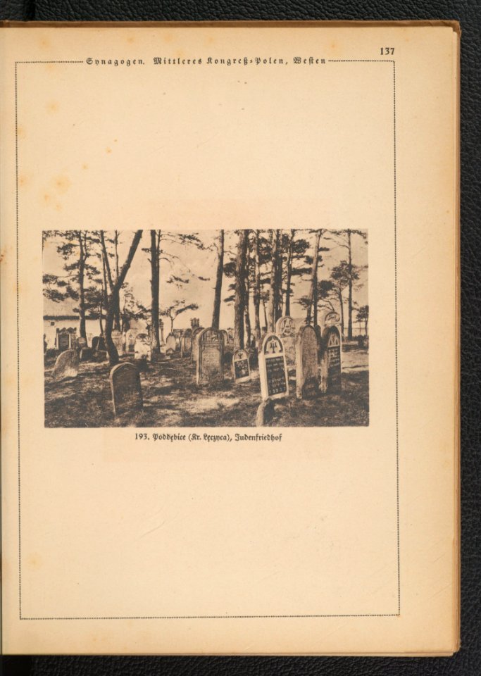 Architektonischer Atlas von Polen - (Kongress-Polen) 1921 (117143129)