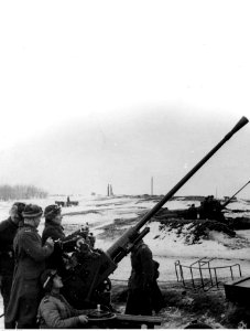 Armia Polska w ZSRR (21-156)