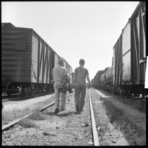 Bakersfield, California. On the Freights. Looking for an empty (freight train car) - NARA - 532071 photo