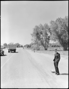 Bakersfield, California. Hitch-hiking. At the end of the city limits of Bakersfield, four hitch-hikers spread out... - NARA - 532089 photo