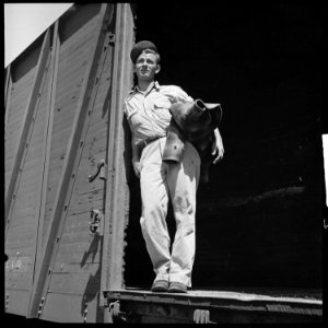 Bakersfield, California. On the Freights. (A young hitch-hiker on the train.) - NARA - 532068 photo