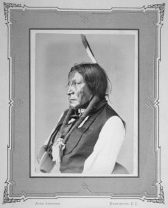Bald Eagle-A-Nu-Ka-San-Vua-Be-Luh. Brule Sioux, 1872 - NARA - 518992 photo