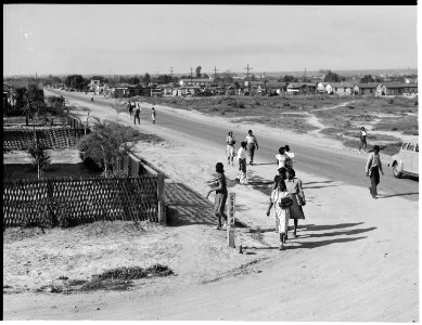 Bakersfield, California. Miscellaneous. These Negro youth are returning to their squalid homes in the Sunset district... - NARA - 532250