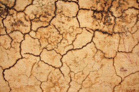 Soil dry drought