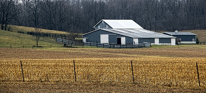 Ohio digital art rural