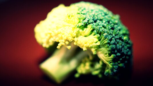 Food vegetation green