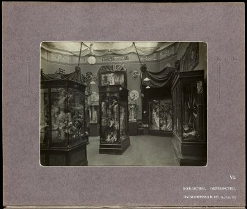 BASA-3K-7-338-15-The Bulgarian section of the Balkan Exhibition in London, 1907