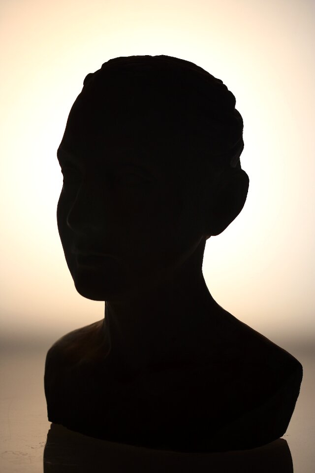 Sculptures light reverse light