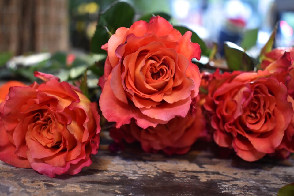 Romance bouquet love