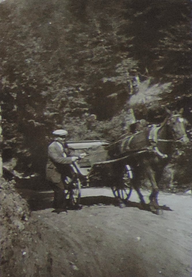 BASA-3K-7-529-10(6)-The sanitary service in the Kyustendil region in 1936