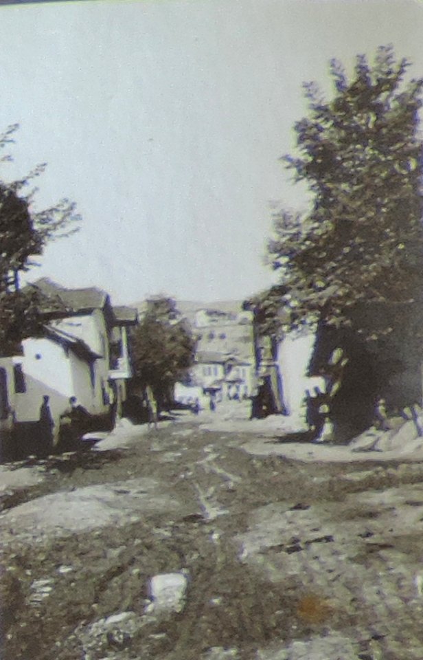 BASA-3K-7-529-11(3)-The sanitary service in the Kyustendil region in 1936