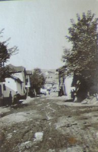 BASA-3K-7-529-11(3)-The sanitary service in the Kyustendil region in 1936