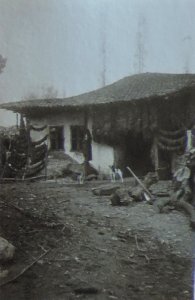 BASA-3K-7-529-12(6)-The sanitary service in the Kyustendil region in 1936