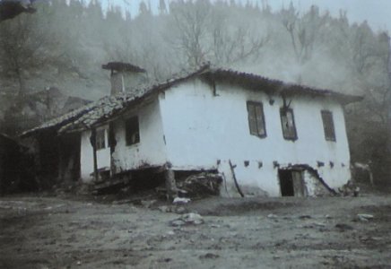 BASA-3K-7-529-13(2)-The sanitary service in the Kyustendil region in 1936