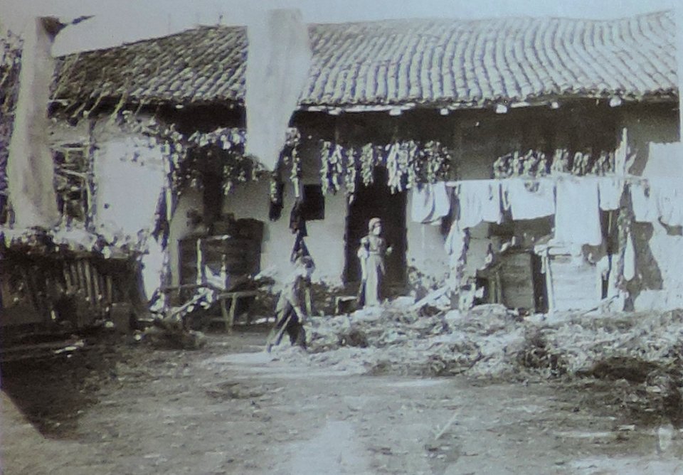 BASA-3K-7-529-13(4)-The sanitary service in the Kyustendil region in 1936