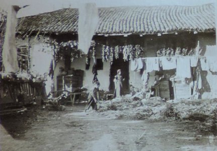 BASA-3K-7-529-13(4)-The sanitary service in the Kyustendil region in 1936