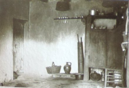 BASA-3K-7-529-14(2)-The sanitary service in the Kyustendil region in 1936