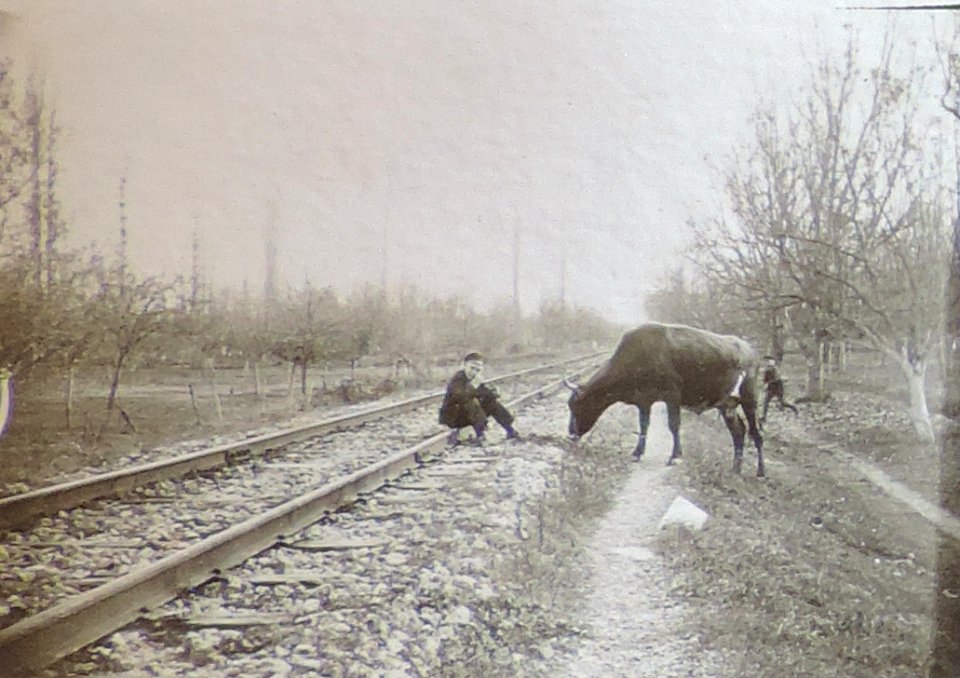 BASA-3K-7-529-15(4)-The sanitary service in the Kyustendil region in 1936