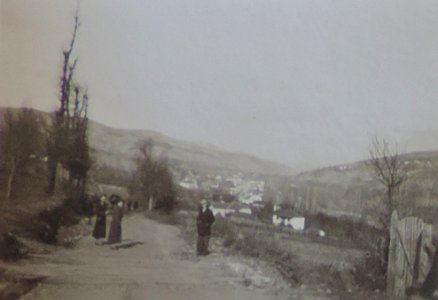 BASA-3K-7-529-10(1)-The sanitary service in the Kyustendil region in 1936